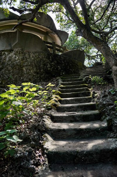 大崗山步道｜小百岳2812788