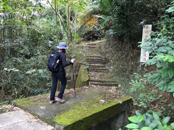 烏山步道走刣牛湖山468598