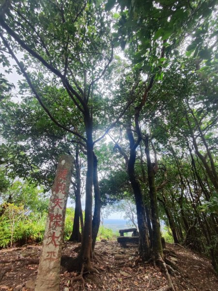 貢大縱走（新北貢寮-宜蘭大溪）2890344