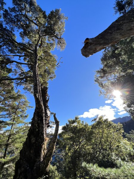 百岳-庫哈諾辛山2637091