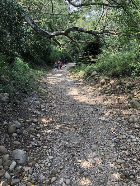 鐵砧山登山步道397593