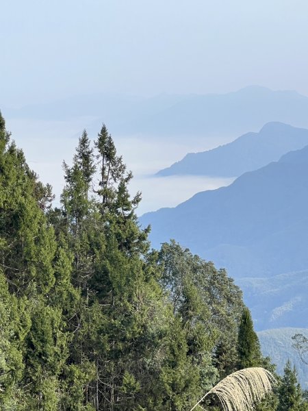 小百岳-金柑樹山2717247