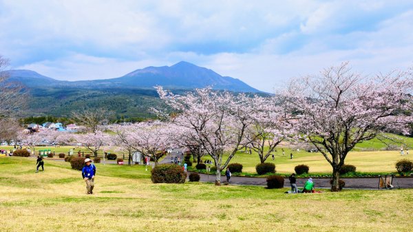 鹿兒島高千穗牧場3028176