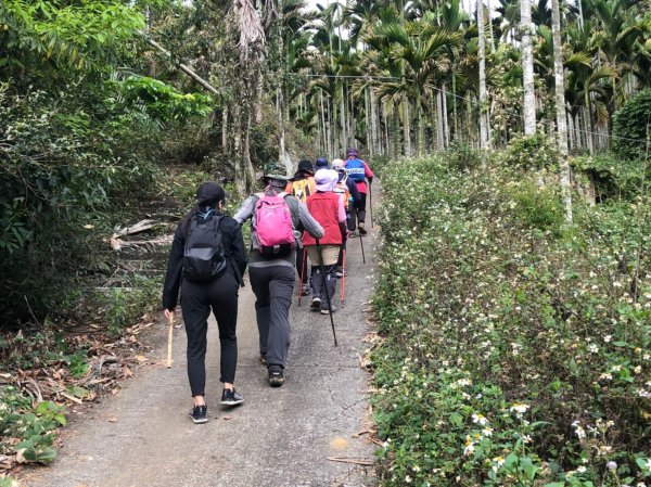 樟湖山、後棟仔山、大尖山、二尖山4山連走1337010