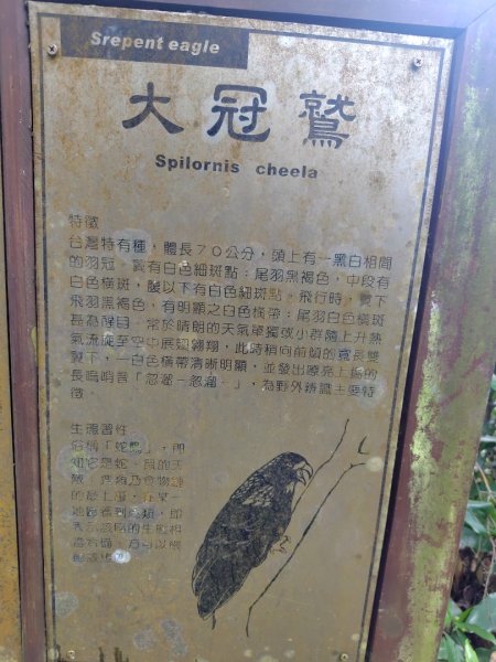 鳳鳴古道 鳳鳴山 南隘勇（南長城）古道 三湖山 八達嶺（龍骨）古道 綠色古道 延平古道2975225