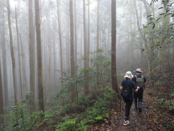2025.07.05－高島縱走2828181