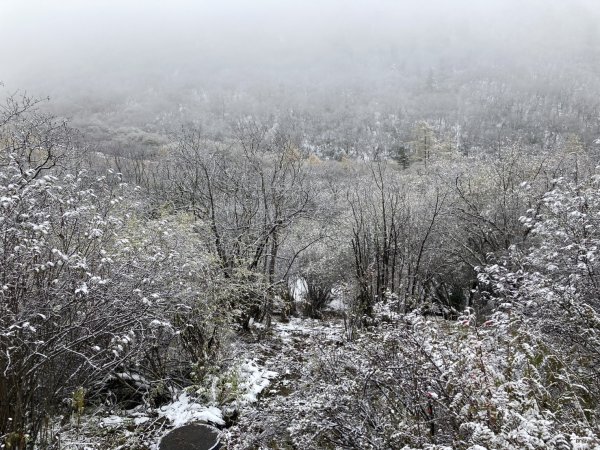 四川黃龍風景名勝區2935571