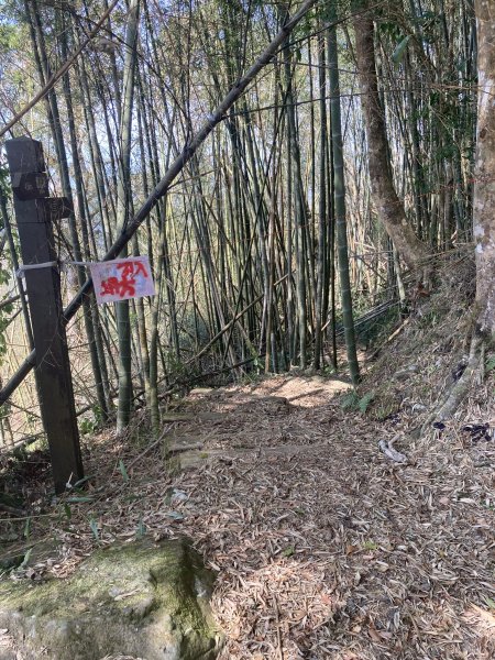 20260217[公車]月眉山+海鼠山+奮瑞古道3001673