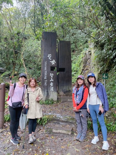 20250329 抹茶山-聖母登山步道2758921