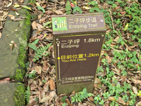面天山、向天山3045025