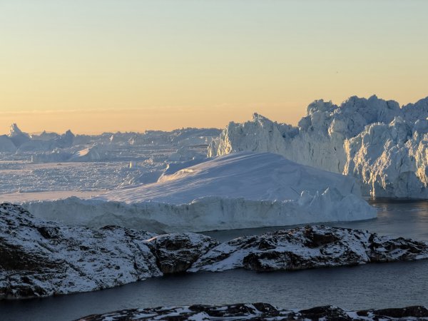 [紐約馬之行-42] 2025_1107 黃線步道-後2950712