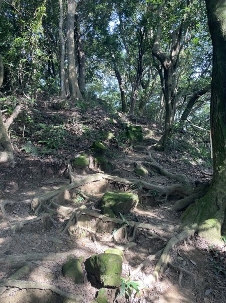 【鳶山山系】鳶山彩壁2858067