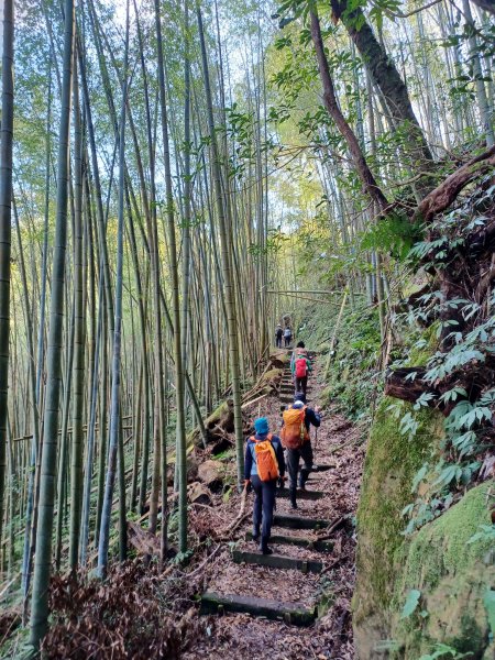 【雲林古坑】舒適宜人。 石壁山連走好望角嘉南雲峰2755258