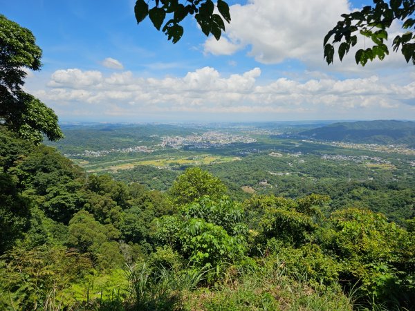 大山背麒麟步道 - 2024森遊竹縣皮皮獅Hike客任務2554895