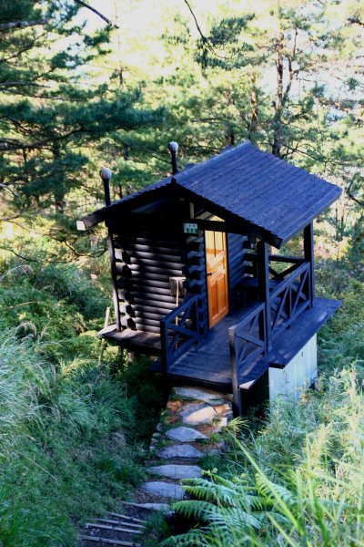 玉山暨阿里山之旅200806091954492