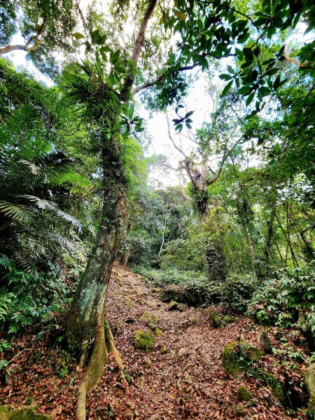 小百岳集起來-馬那邦山2181243