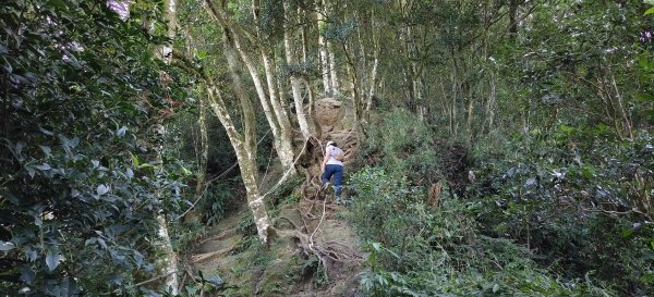 2025/09/29_仙山群峰2897329