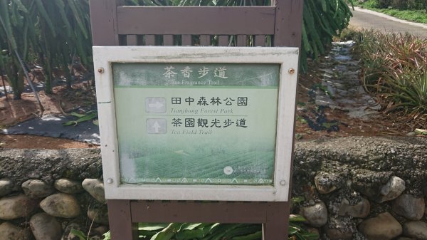 茶香步道～田中森林公園980874