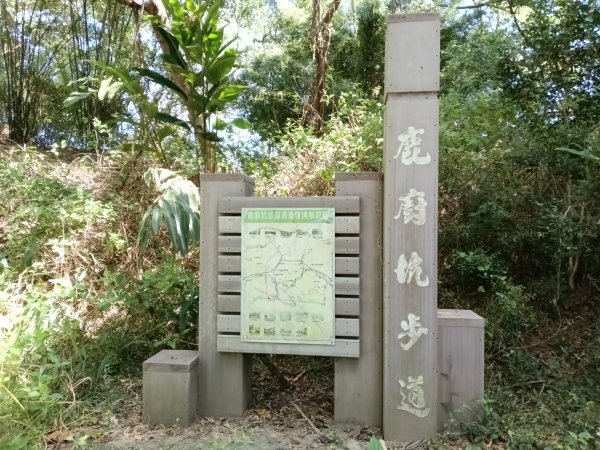 頭份鎮鹿廚坑步道+鹿廚坑山2937973