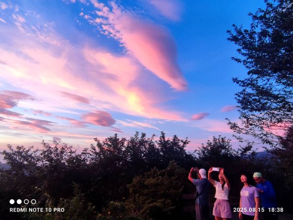 【油羅山/露營】 仙境舒活健走，雲端徜徉野趣！2887886