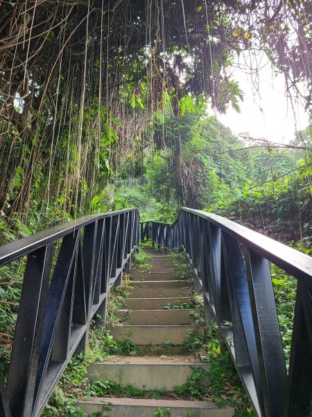 大坑6號上+8號探路+7號下2771417