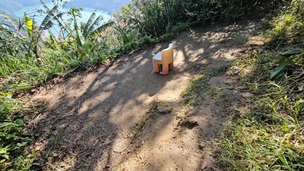 20251216太平山石門山小粗坑山O型+蕃薯藤TINA廚房2972571