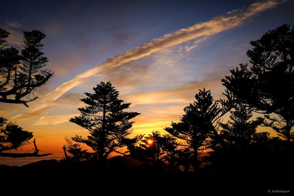 孟春．一個人的武陵(Day2晴日)封面