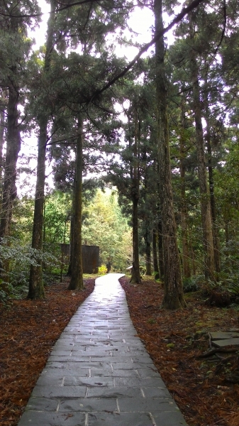 東眼山國家森林遊樂區 104.02.1652438