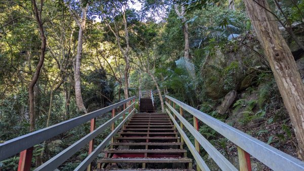 虎山步道2659279