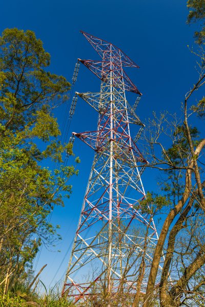 [台北]大崙頭山、碧山巖、忠勇山2746157