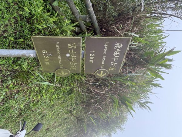 115.04.05台北大縱走33031353