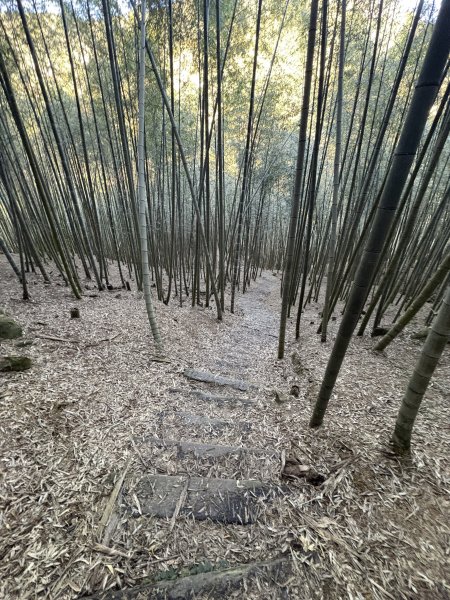 20251221嘉南雲峰、石壁山登山步道2968083