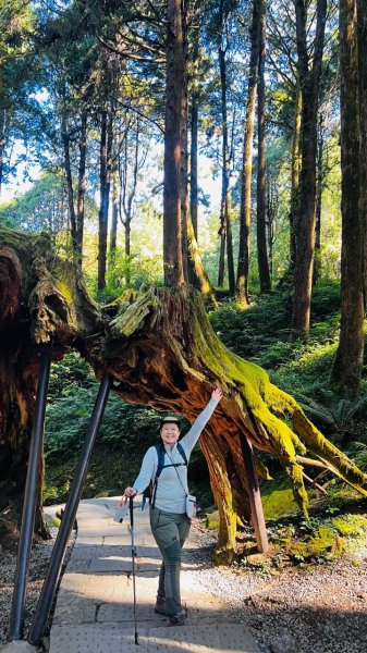 🌈10/11（日）消失的阿里山森林鐵路FB：熊熊趴爬走(富裕登山社)🌈3134739