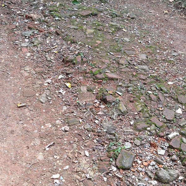 2025臺北大縱走：二子坪到關渡捷運站-第一段完成!2784712