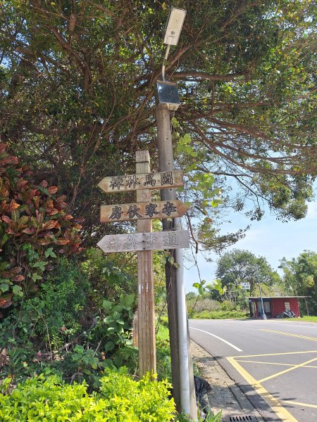 造橋口山古道202503122734382