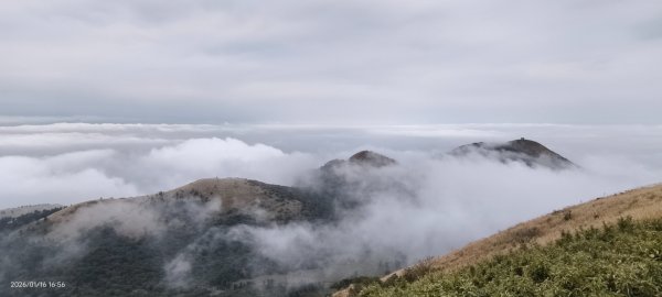 #大屯山 #雲海 #琉璃光 1/162983035