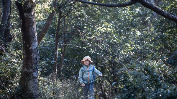 枕頭山古砲台歷史古道O型（含薑母島）2948480