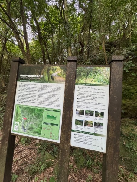 登峰古圳訪高頂山 北五指山 出荷蘭古道 快閃聖人瀑布2982318