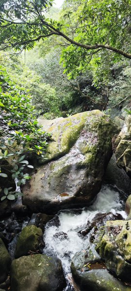 新竹內灣．馬胎古道202506212823507