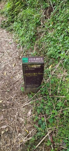 臺北大縱走第二段（2）1309716