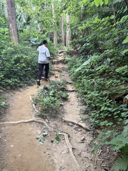 20251024蘭潭後山步道、紅毛埤山、山子頂山2924067