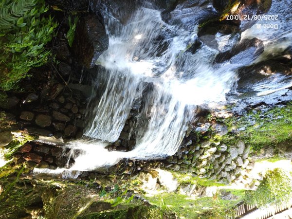福山大羅蘭溪>古圳步道>黃金水岸2858978