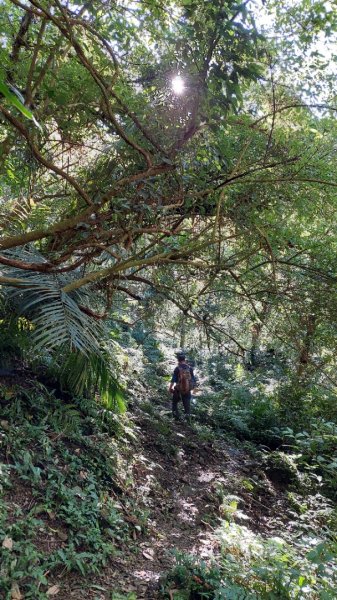 新店小粗坑赤蘆古道越嶺O型2784406