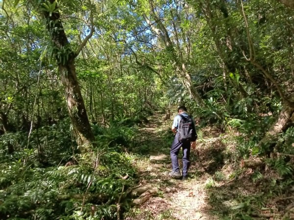 雙溪區內盤山坑古道+石硿子越嶺古道+盤山坑古道+過火坪古道O型2914374
