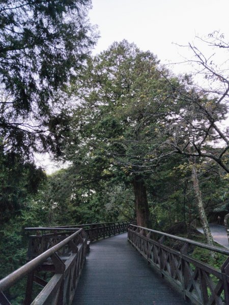 小百岳(59)-大塔山-202209251878821