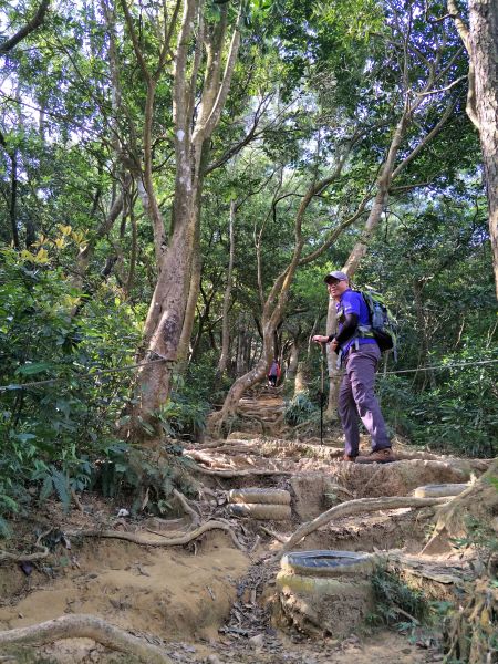 石壁潭山 中坑山 飛鳳山 O 型走297422