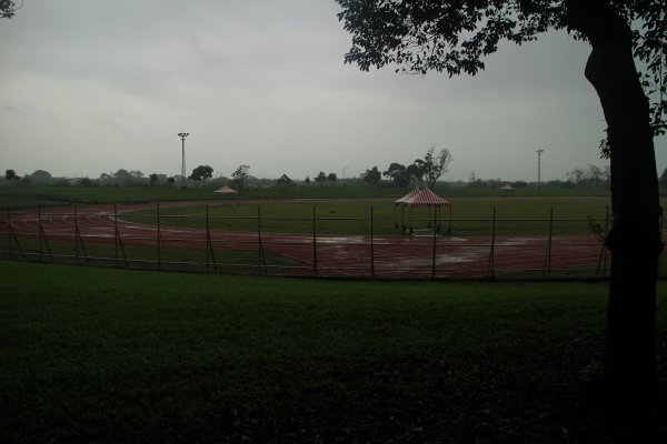 雨紛紛之羅東運動公園202011281190284