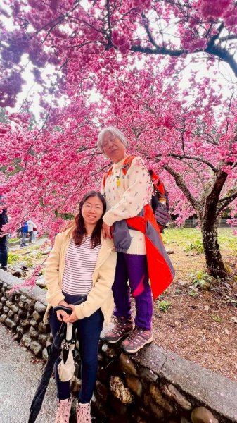 🌈3/1（日）福壽山農場~千櫻園✨FB：熊熊趴爬走🌈3008560