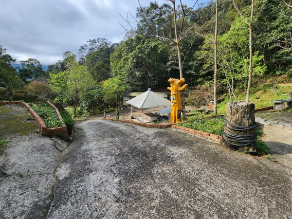20250309高甫山彩和山大庭頂山金山O型2769627