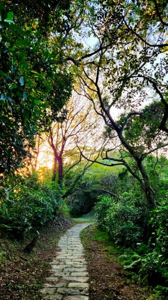 四獸山大縱走（虎山，豹山，獅山，象山），林口太平濱海步道，桃園龜山（貴山，龜山頭山），老坑溪步道1964726